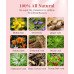 Chinese Herbal Fibroid Tea